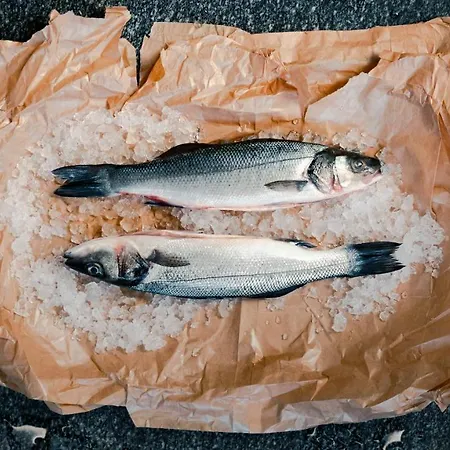 Hvala Superior - Topli Val 호텔 코바리드