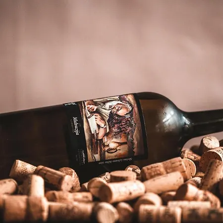 Hotel Hvala Superior - Topli Val 3*