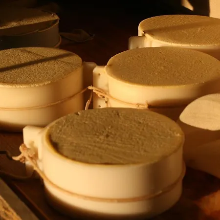 Hvala Superior - Topli Val 코바리드