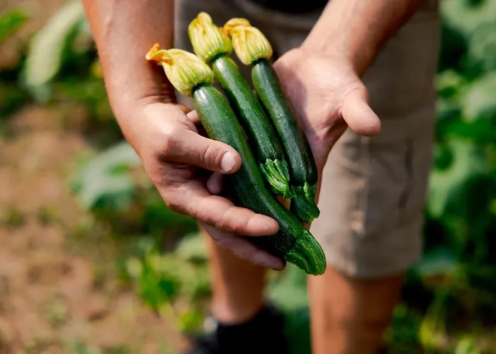 Hvala Superior - Topli Val Kobarid