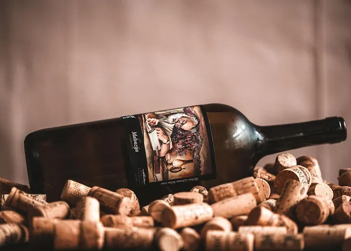 Hotel Hvala Superior - Topli Val 3*